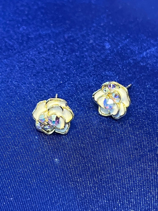 魅力を引き出す祝福ピアス | 海の祝福